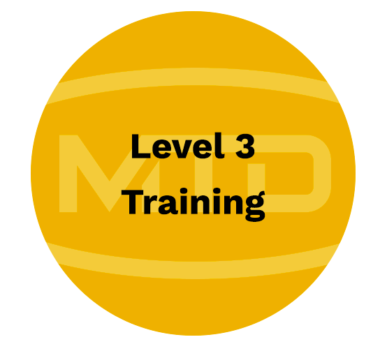 Level 3 Training