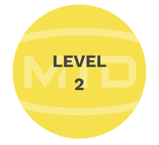 MTD Services Level2