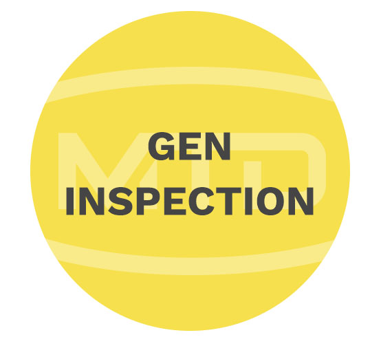 MTD Services gen inspection